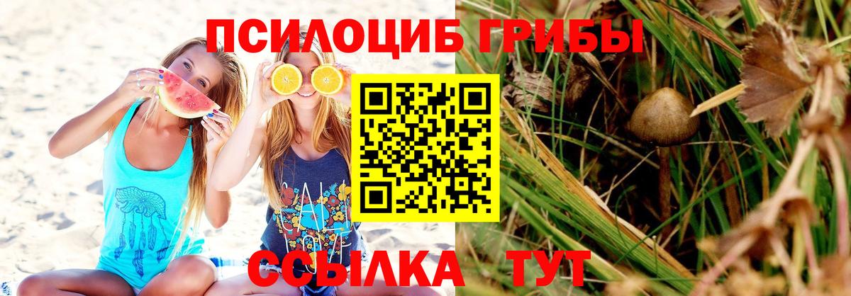 Кириши  Галлюциногенные грибы Cubensis  Вход с VPN 