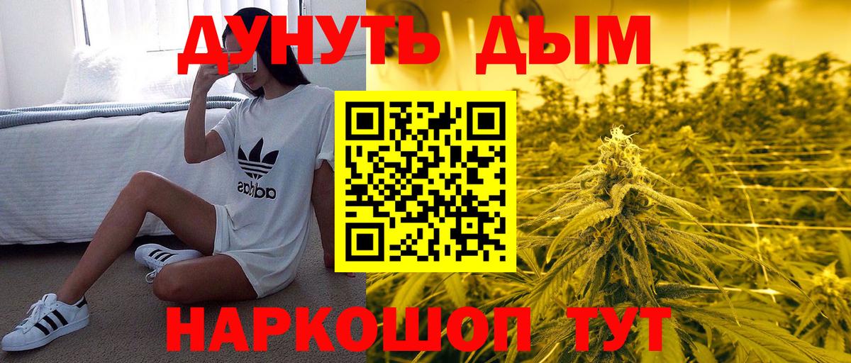 Бошки марихуана OG Kush Кириши